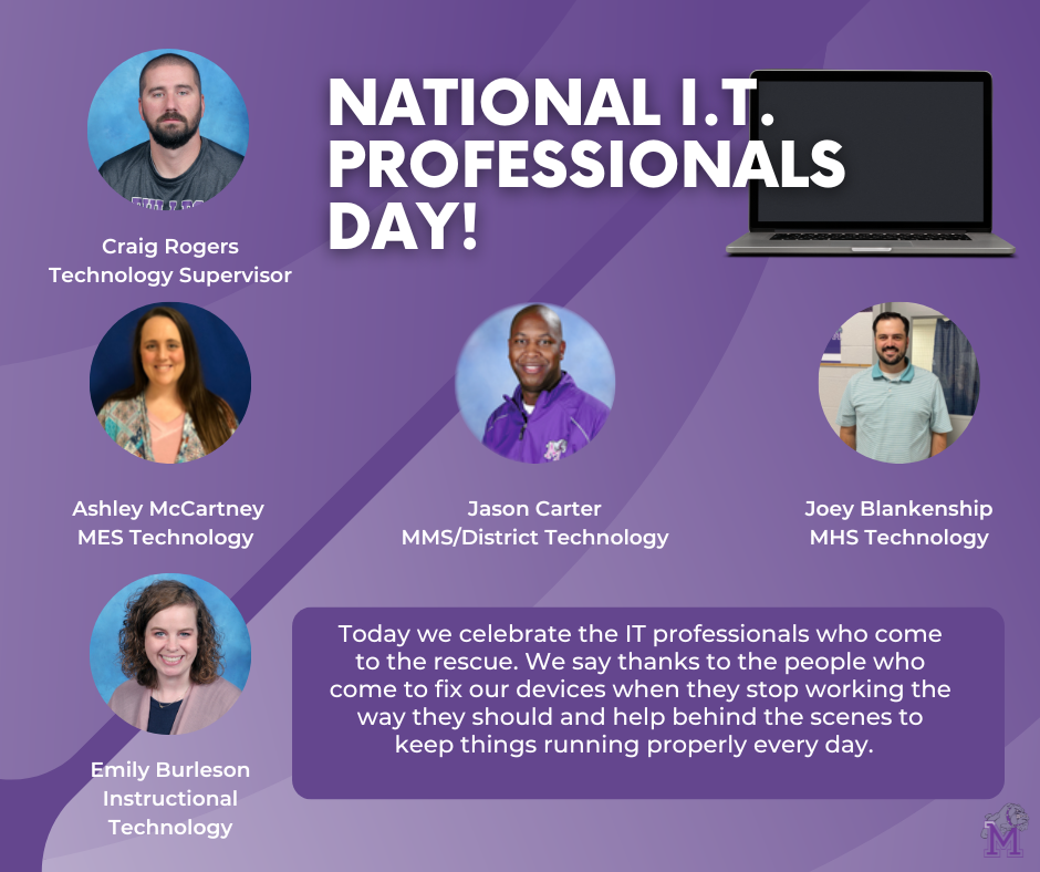 IT Professionals Day